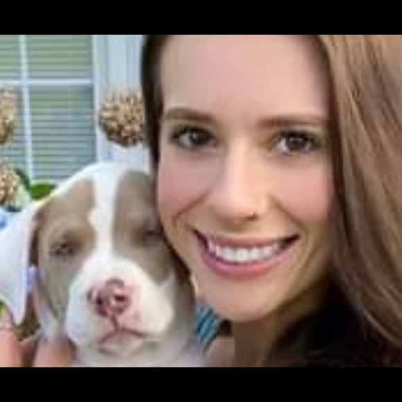 Meet your Posher, Aslan - Picture 1 of 1